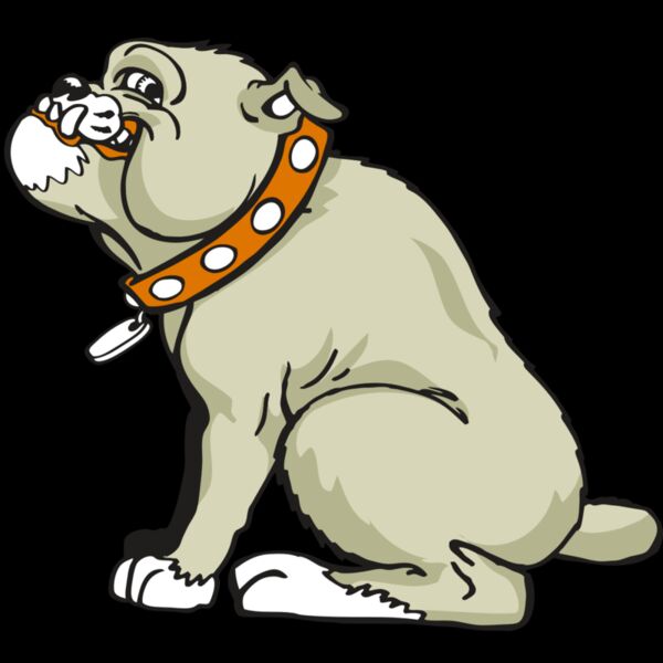 AR BDOG 26 RC Thumbnail