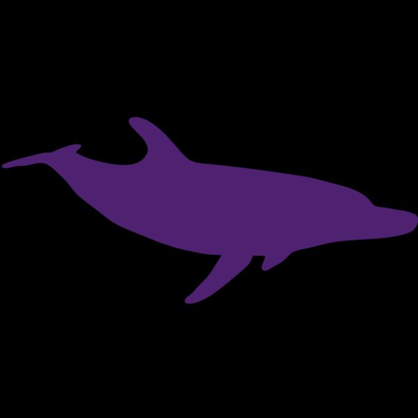 AR DOLPIN 12 RC Thumbnail