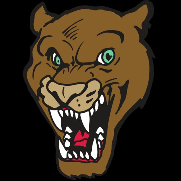 AR5 COUGAR 16 RQC Thumbnail