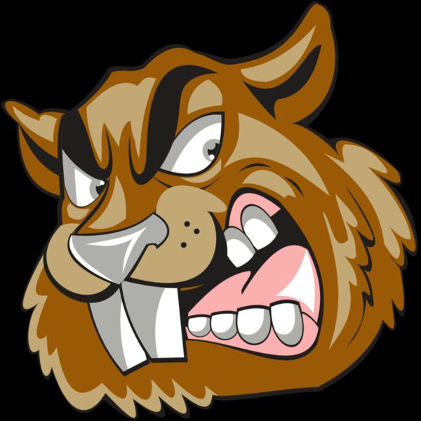 BEAVER HD0504 RQC Thumbnail