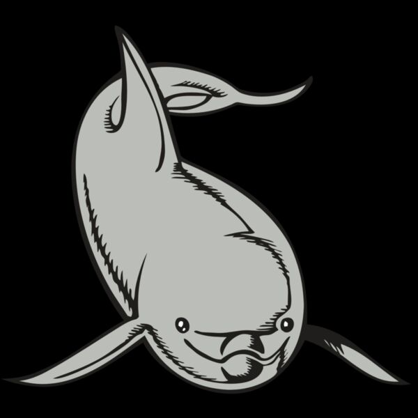 BAW DOLPHIN 02 RC Thumbnail