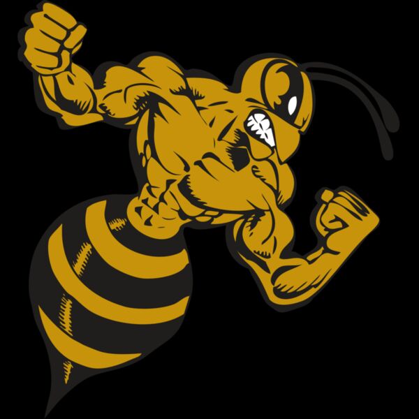 BAW BEE 01 RC Thumbnail