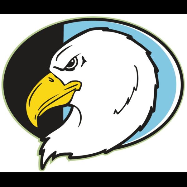 AR EAGLE 55 RC Thumbnail