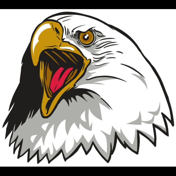 AR22 EAGLE 01 RQC Thumbnail