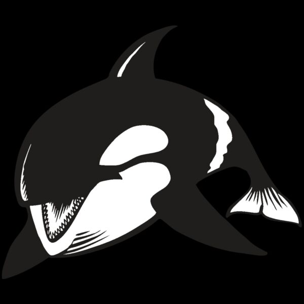 BAW KLRWHALE 04 RC Thumbnail