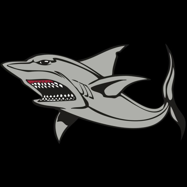 BAW SHARK 03 RC Thumbnail