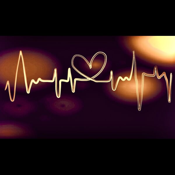 9E0C67C6 27ED 43D8 A5FF 9BB6EA0F07F4 Thumbnail