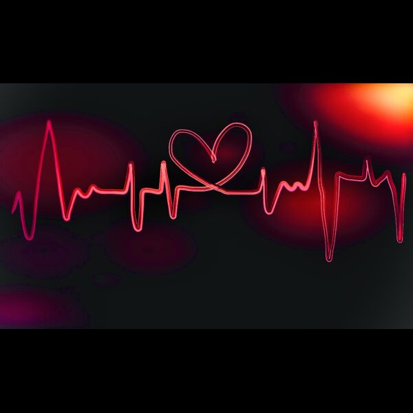 EDDB7288 6345 436B 8AC5 C463C001FE3F Thumbnail